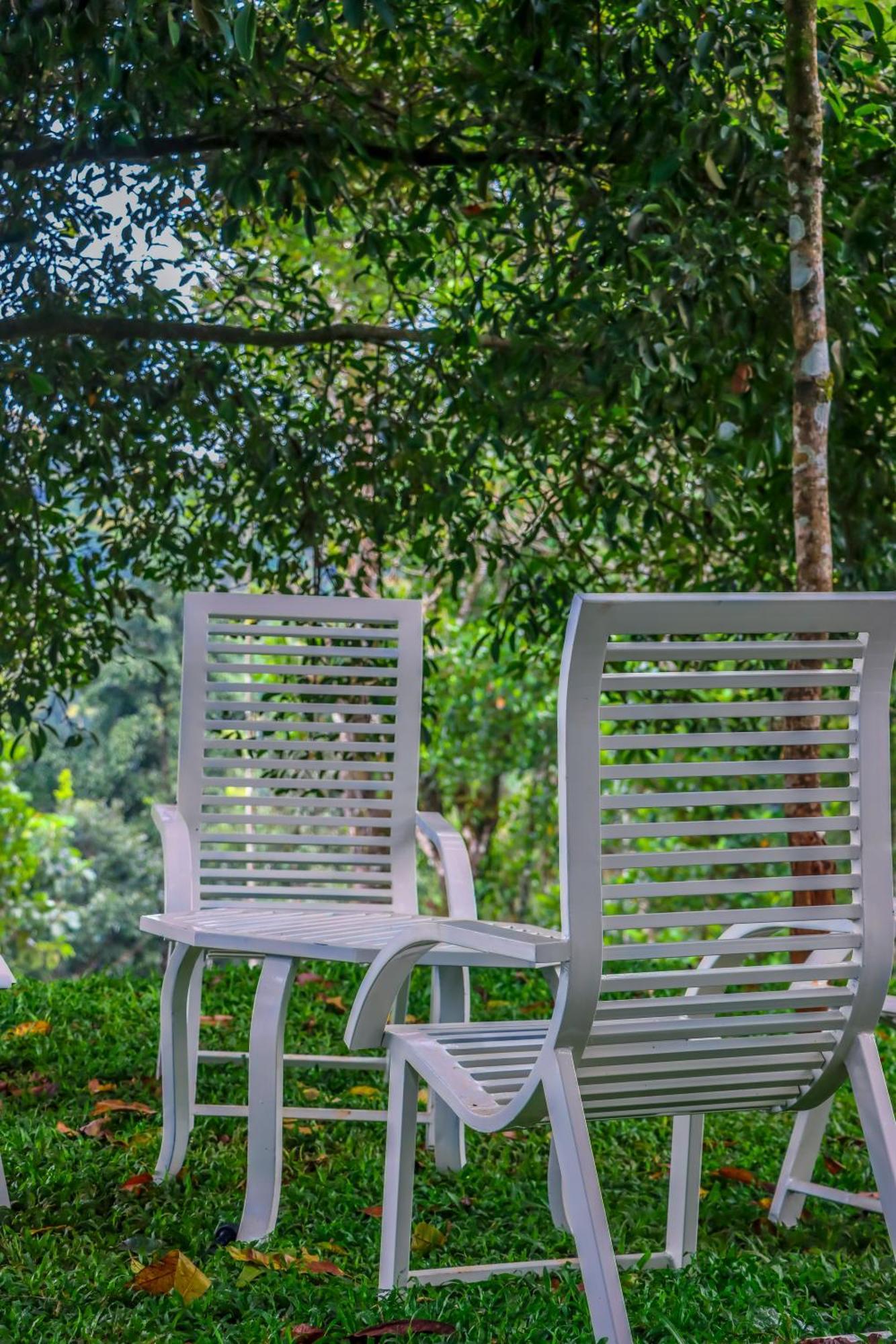 Winter Note Resorts Munnar Extérieur photo
